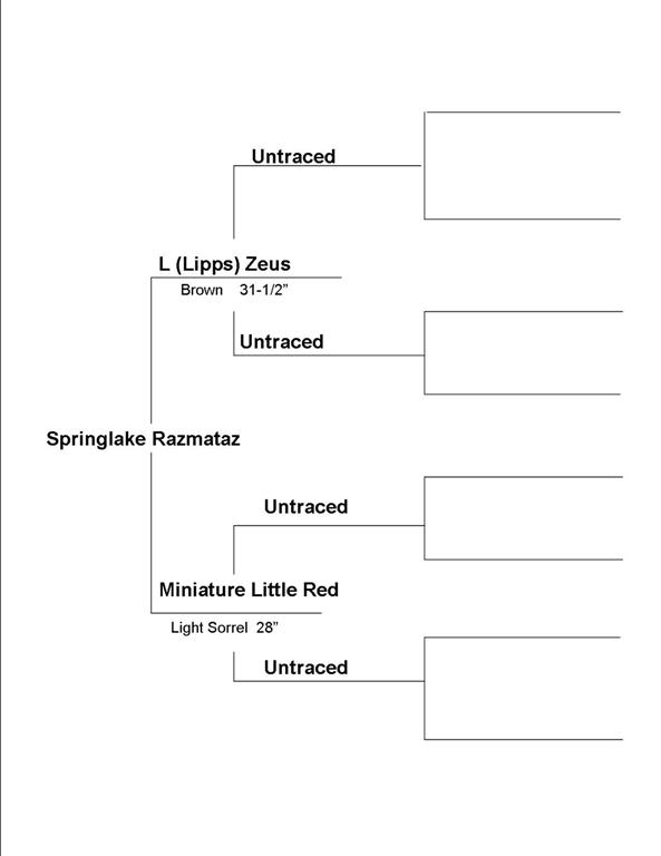 razs-pedigree1-large