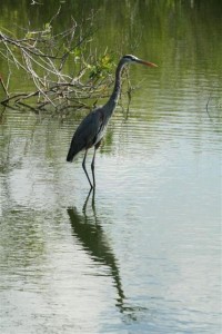 img_7569-small